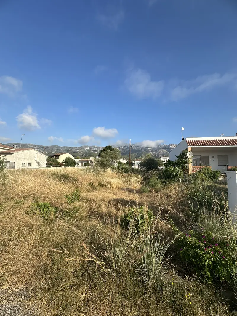 Parcela con hierba alta antes de la limpieza en Alcanar Platja